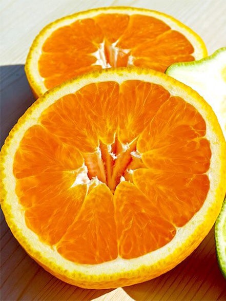 citrus bioflavonoids