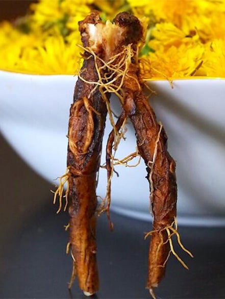 dandelion root