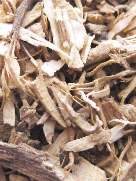 kava root