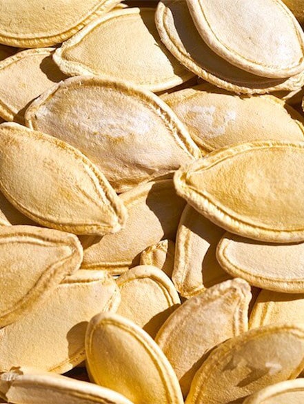 pumpkin seed